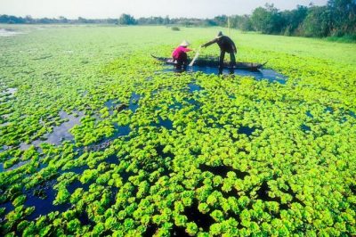 Giá thuê xe hợp đồng du lịch 7 chỗ Sài Gòn đi U Minh – Cà Mau